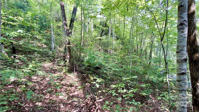 $40,000 | 0 Cross Creek Circle, Sylva, NC 28779