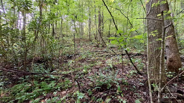 $40,000 | 0 Cross Creek Circle, Sylva, NC 28779