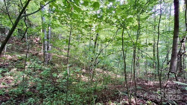 $40,000 | 0 Cross Creek Circle, Sylva, NC 28779