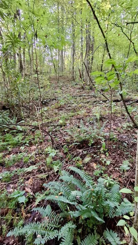 $40,000 | 0 Cross Creek Circle, Sylva, NC 28779