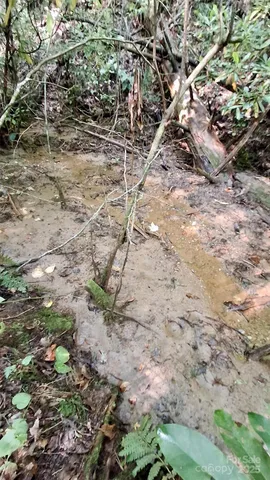 $40,000 | 0 Cross Creek Circle, Sylva, NC 28779