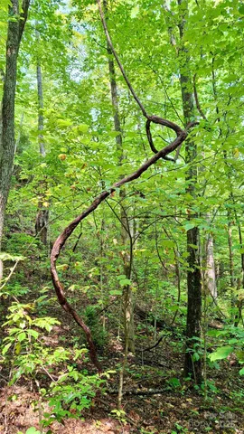 $40,000 | 0 Cross Creek Circle, Sylva, NC 28779