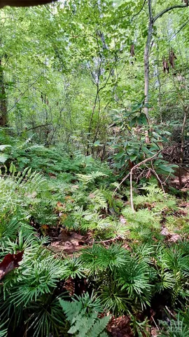 $40,000 | 0 Cross Creek Circle, Sylva, NC 28779