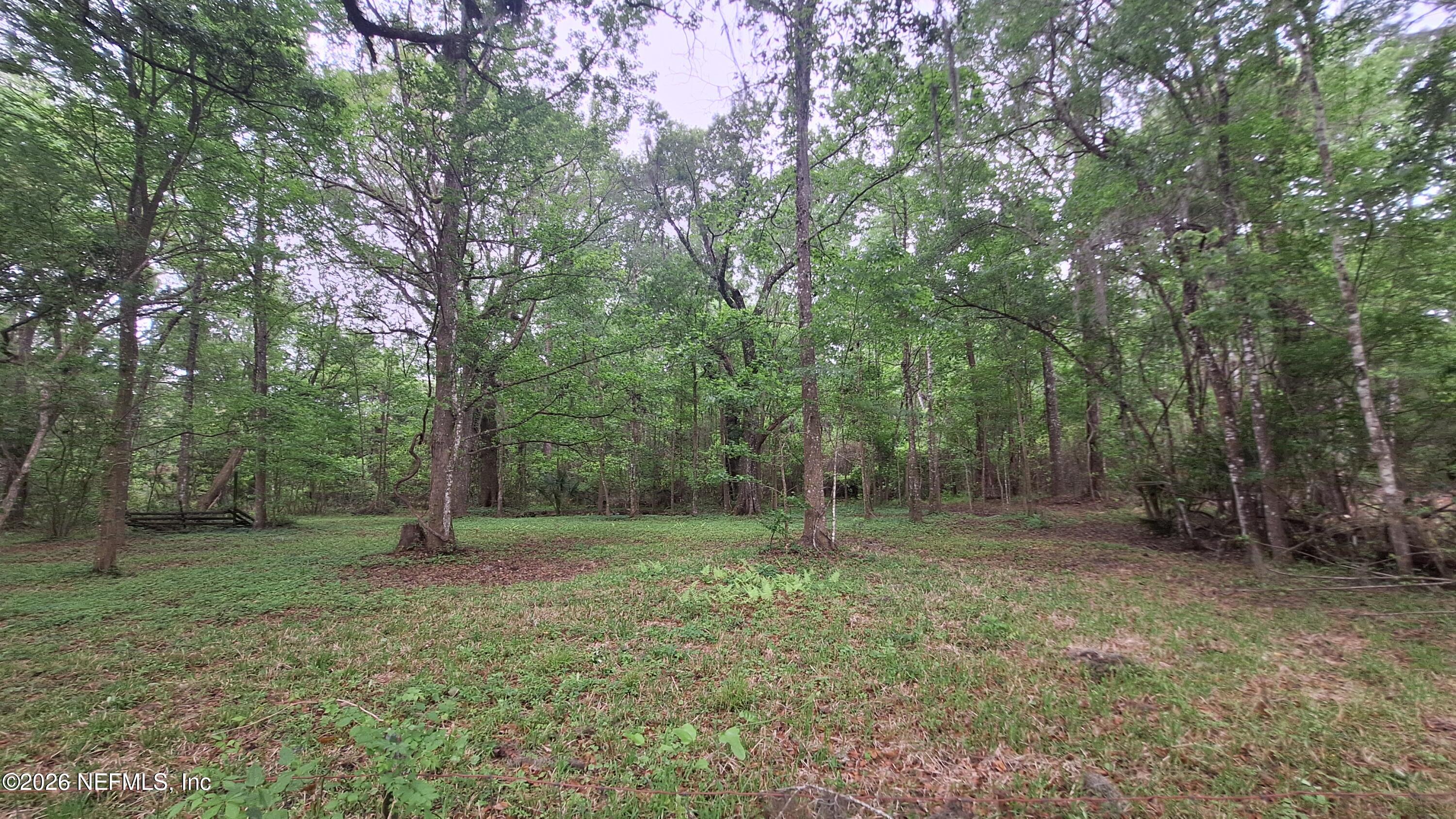 54144 Catherine Avenue Callahan, FL 32011 - Photo 48 of 50 Back Yard