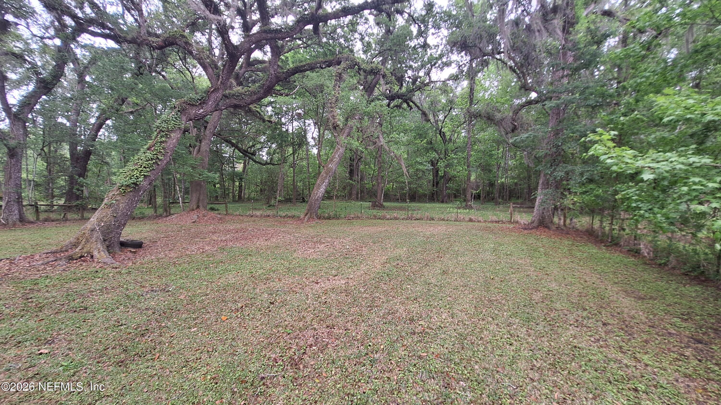 54144 Catherine Avenue Callahan, FL 32011 - Photo 10 of 50 Back Yard