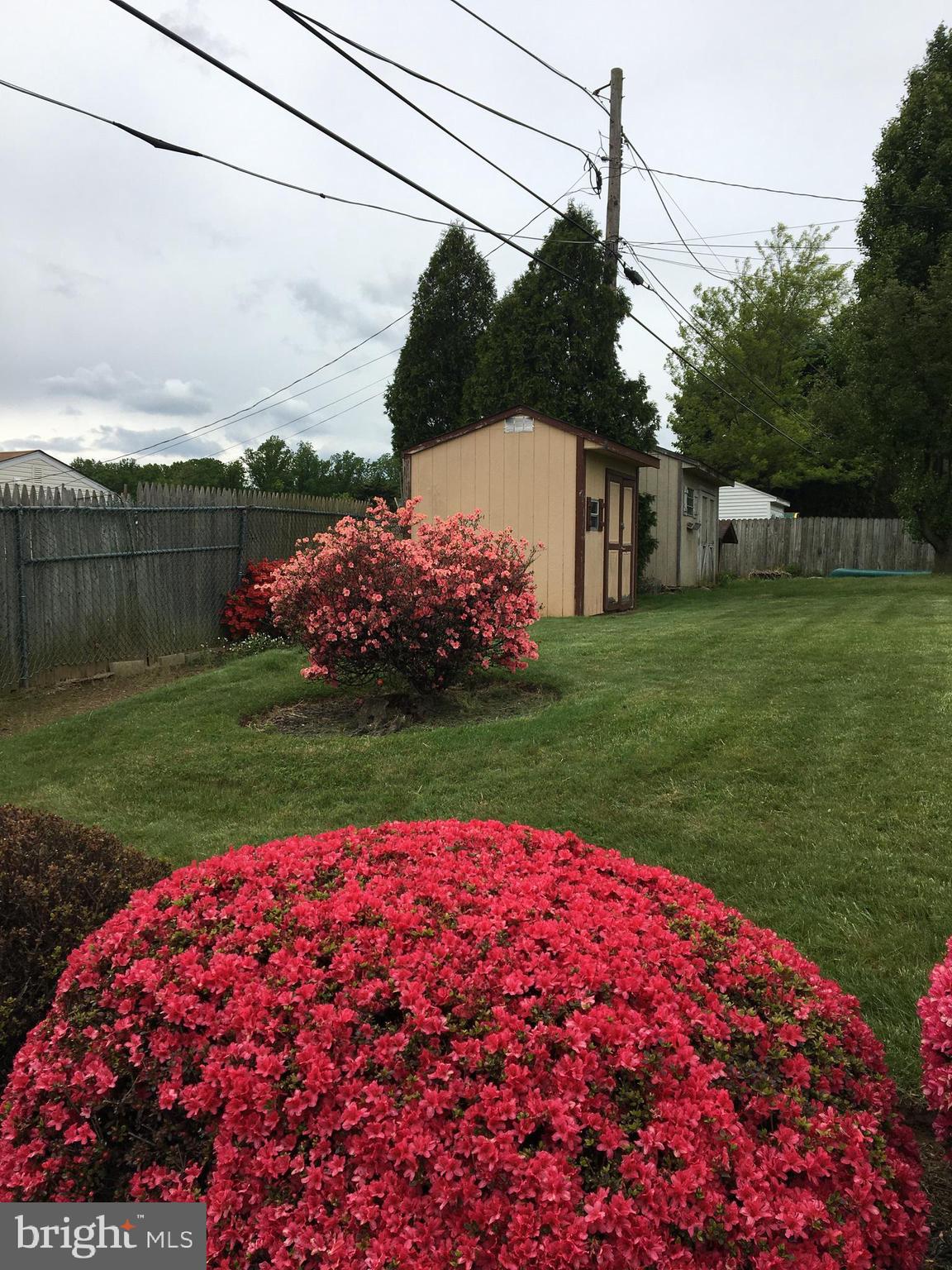 1028 Surrey Road Philadelphia, PA 19115 - Photo 5 of 46 Azaleas in Bloom - Rear Yard