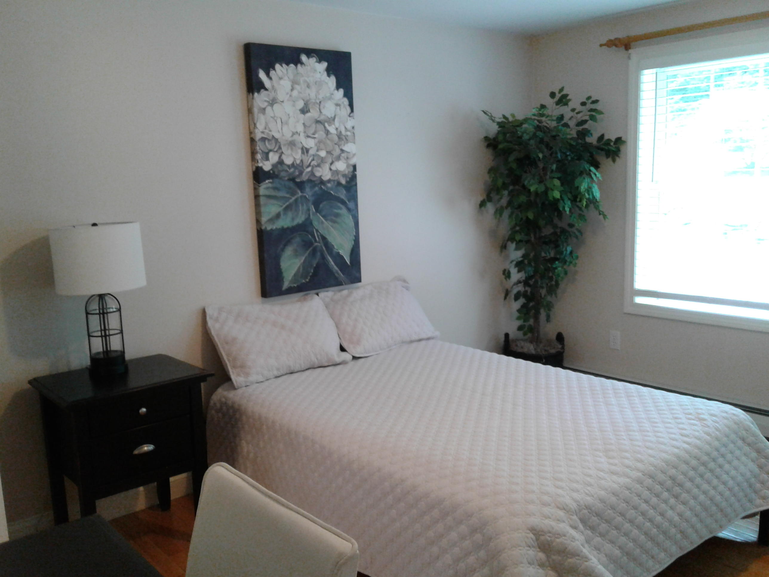 30 Brook Road Falmouth, ME 04105 - Photo 15 of 35 20200803_140702