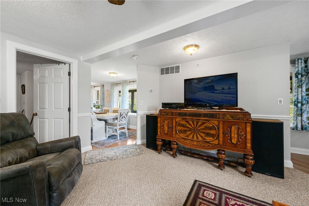 3945 Columbia Road Medina, OH 44256 - Photo 15 of 40 Living room featuring a textured ceiling and carpet floors