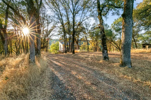 a view of open space with trees