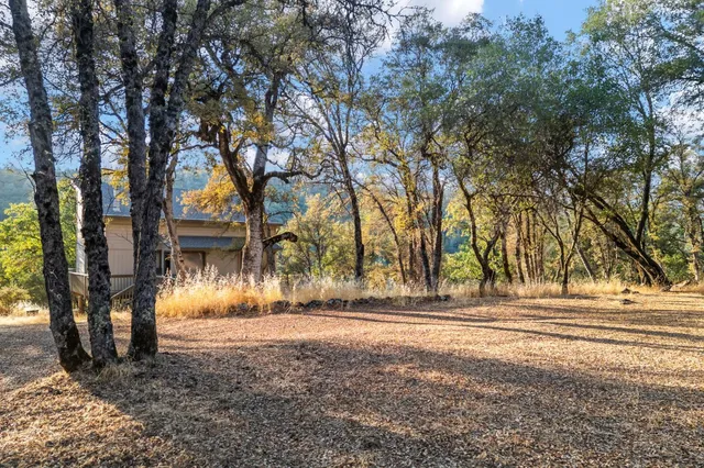 a view of backyard of a house