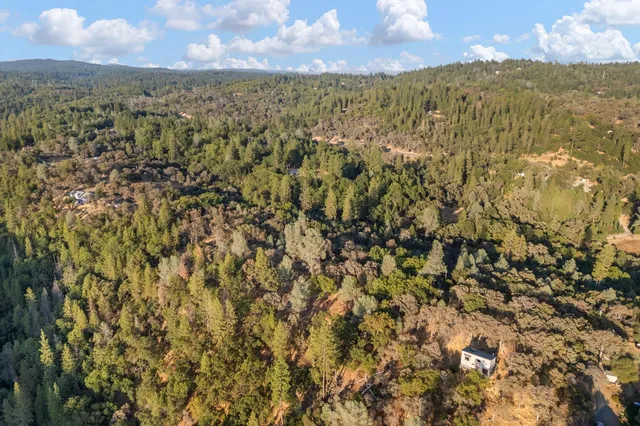 a view of a tree with a tree