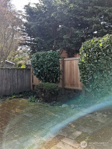 a view of a yard with plants and large trees