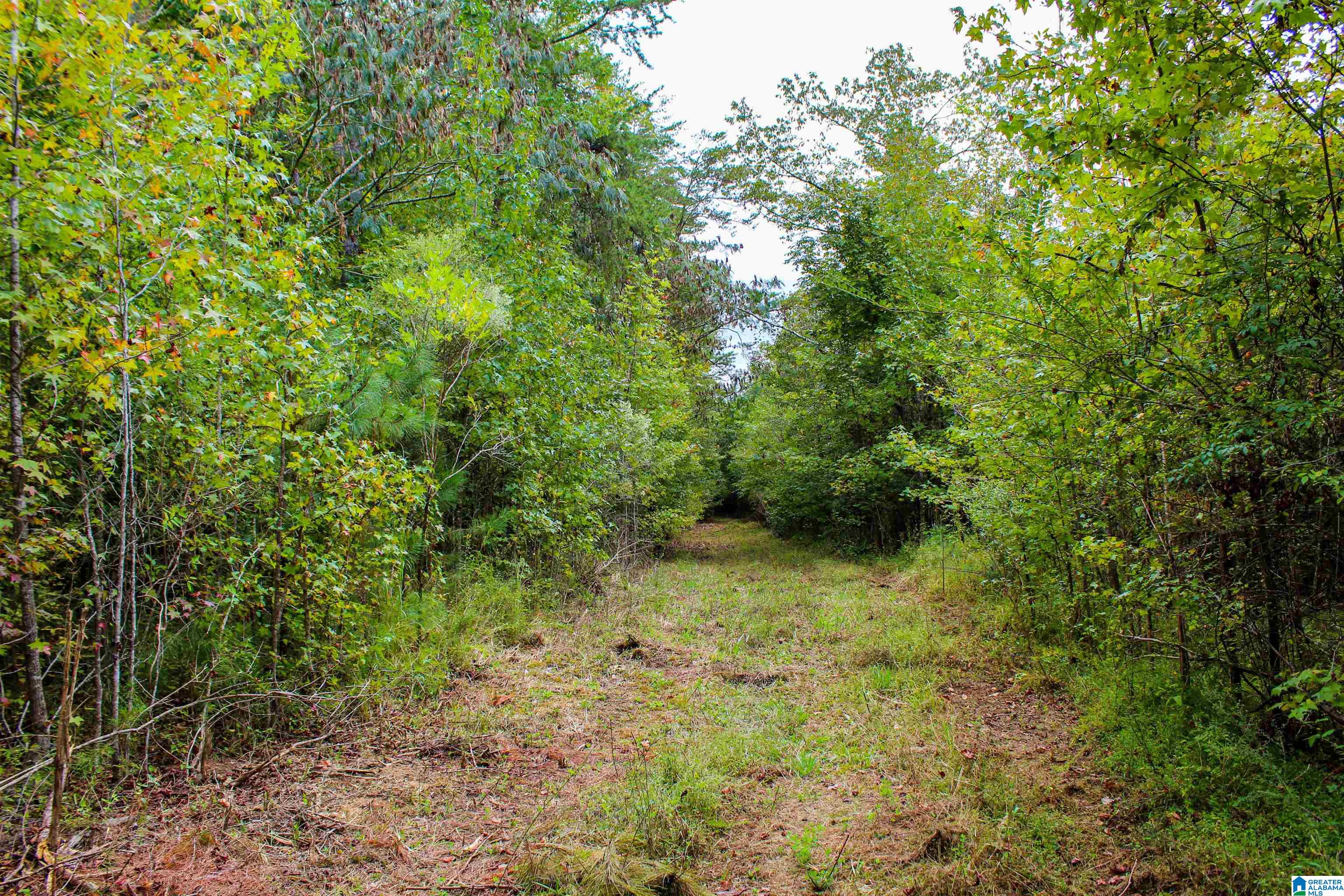 1 Highway 18, Unit 1 Oakman, AL 35579 - Photo 28 of 46