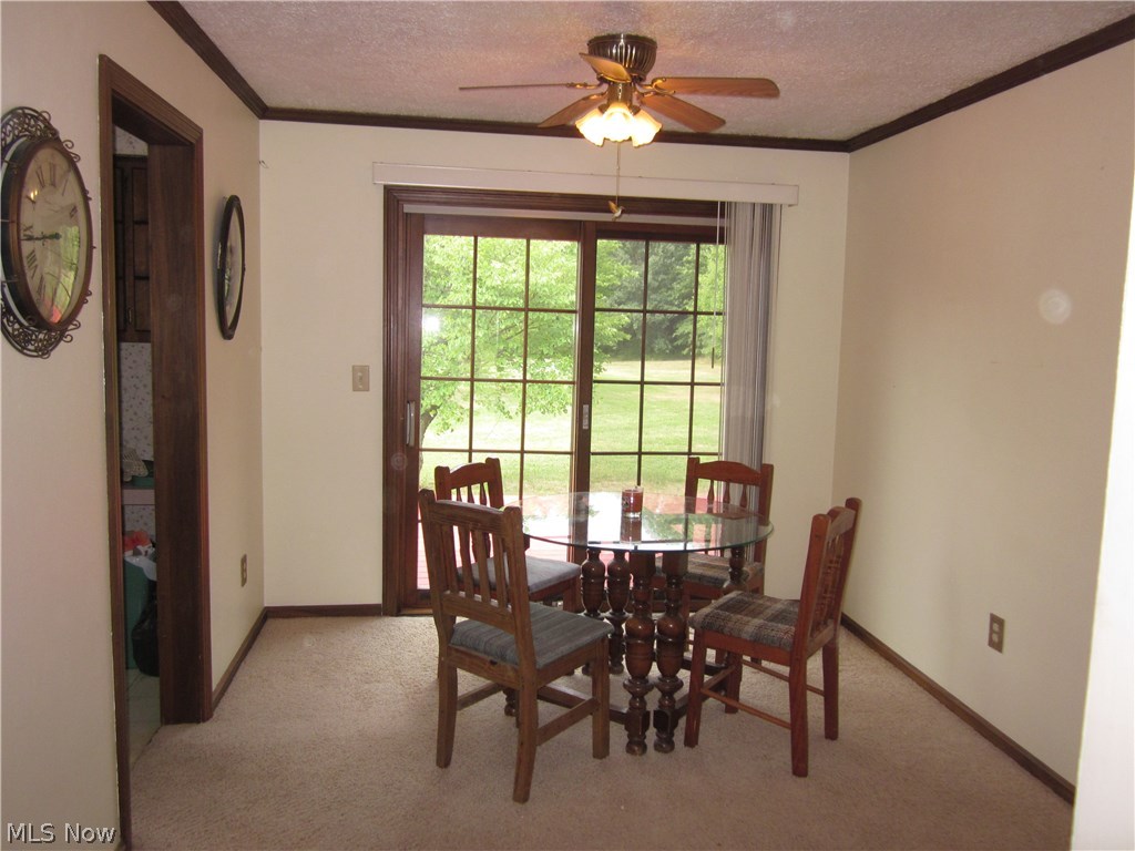 10591 Williams Road Diamond, OH 44412 - Photo 9 of 26 Gallery Image 9