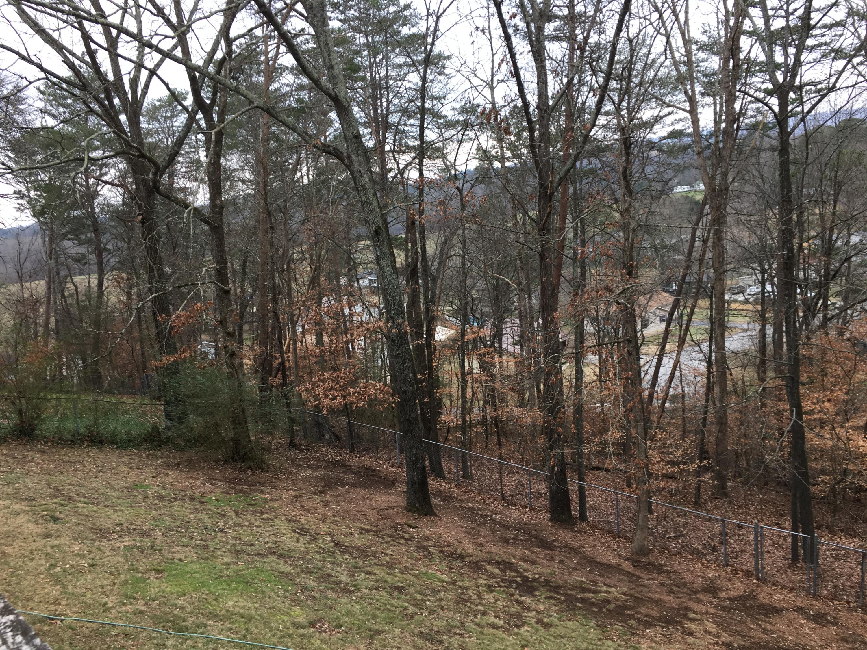7117 Cane Hollow Road Hixson, TN 37343 - Photo 24 of 29 IMG_6712