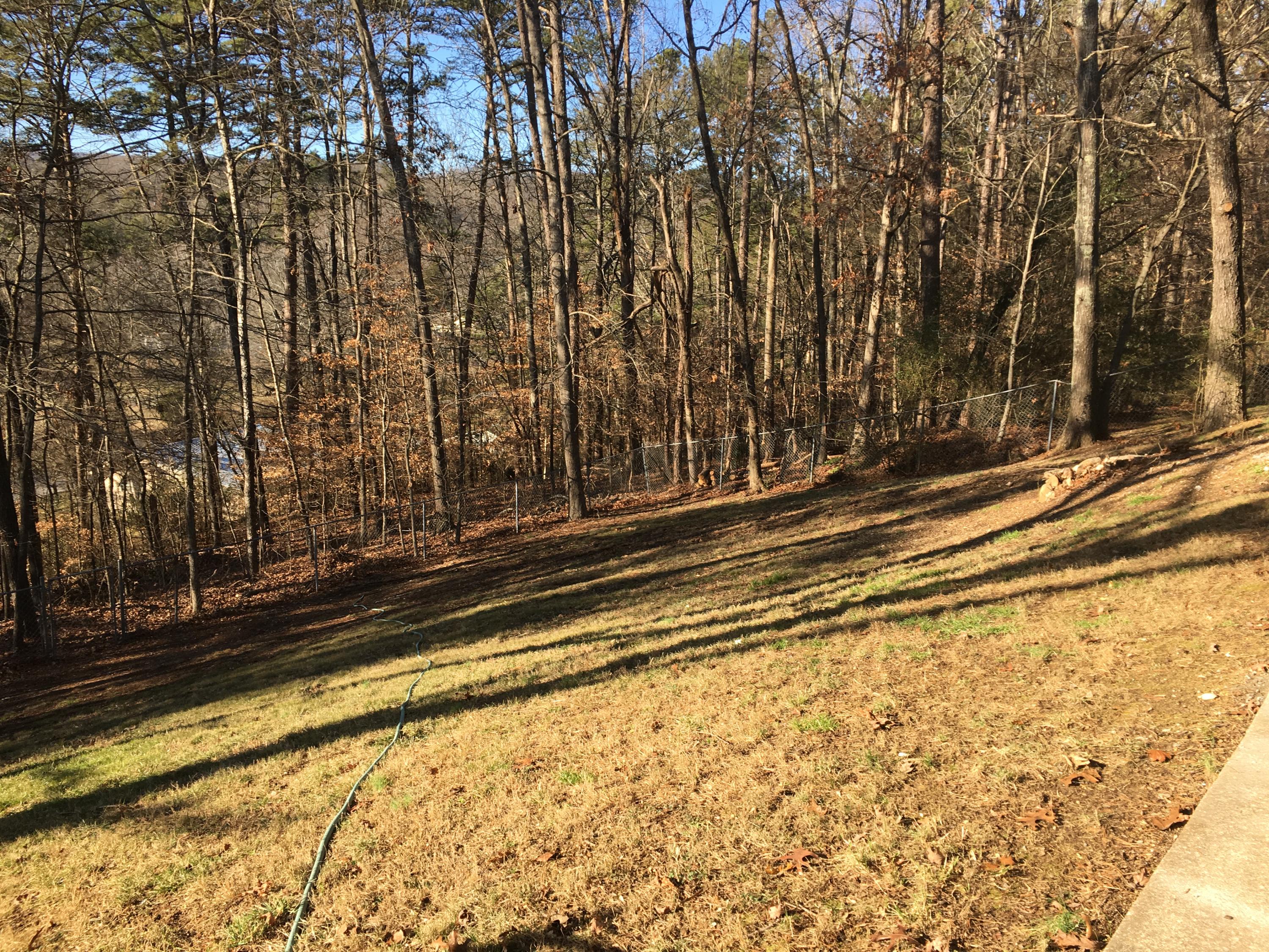 7117 Cane Hollow Road Hixson, TN 37343 - Photo 25 of 29 IMG_6615