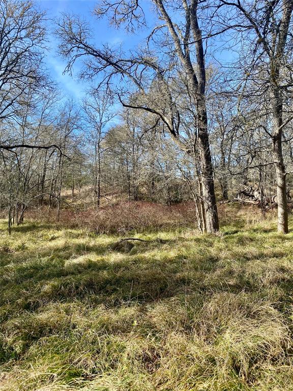 0 County Road 123 Ledbetter, TX 78946 - Photo 2 of 9 a view of a yard with trees