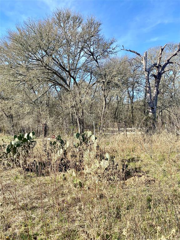 0 County Road 123 Ledbetter, TX 78946 - Photo 4 of 9 a view of a yard with a tree