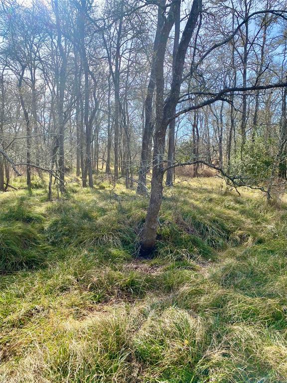 0 County Road 123 Ledbetter, TX 78946 - Photo 5 of 9 a view of yard with tree
