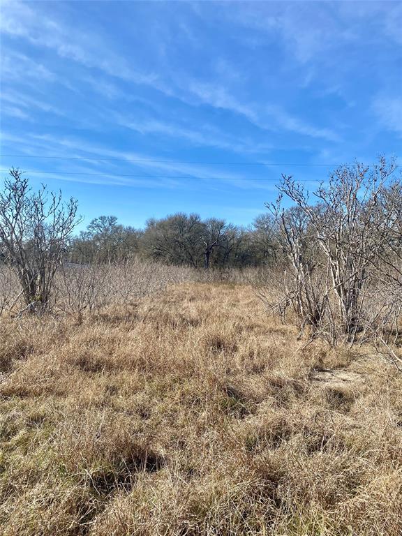 0 County Road 123 Ledbetter, TX 78946 - Photo 7 of 9 a view of a field with an ocean