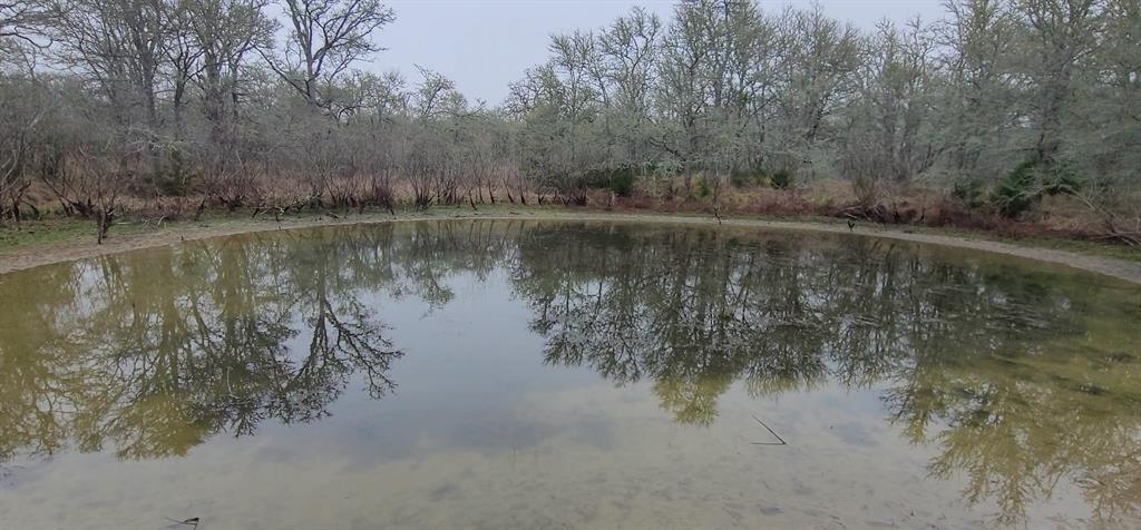 0 County Road 123 Ledbetter, TX 78946 - Photo 8 of 10 a view of a lake with a forest