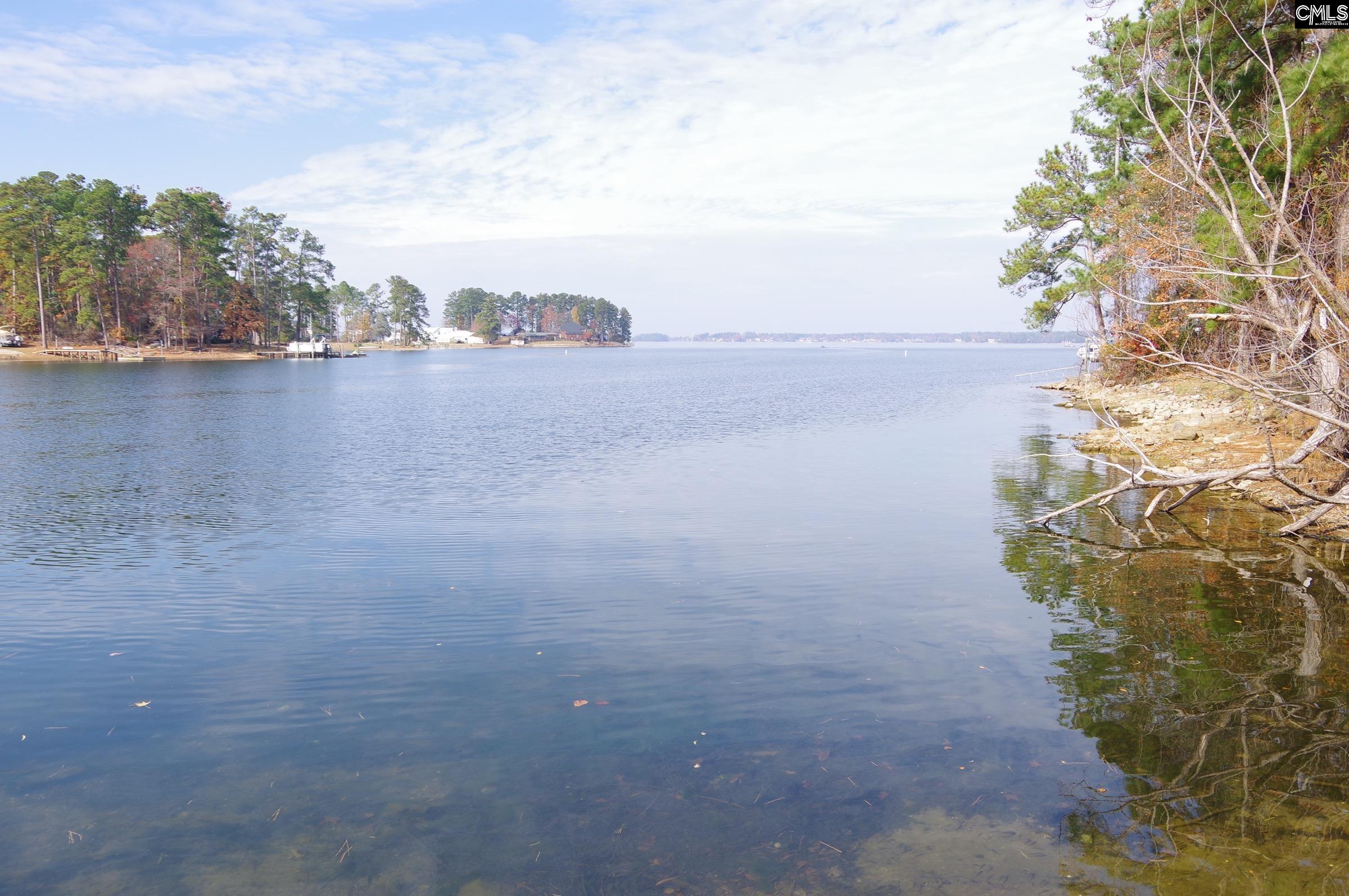 1331 Camping Road Gilbert, SC 29054 - Photo 40 of 40