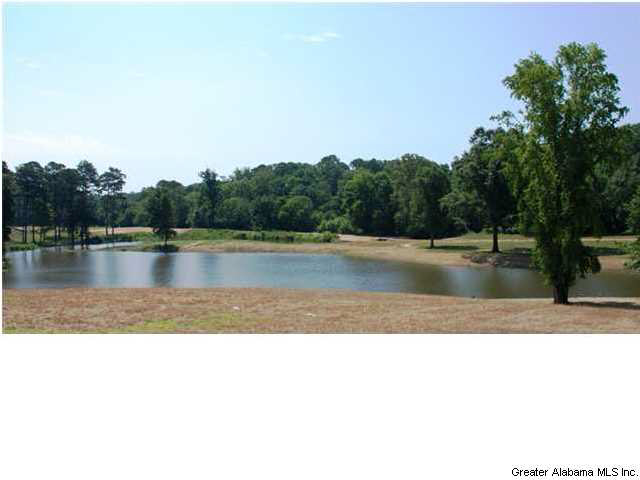 1949 Cahaba Cove Birmingham, AL 35244 - Photo 27 of 27
