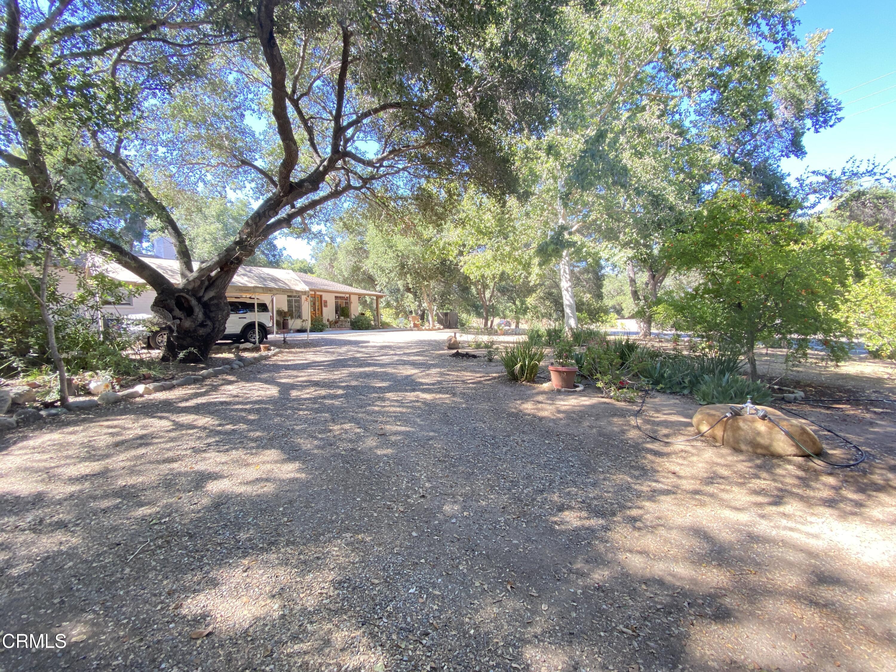 2131 Burnham Road Ojai, CA 93023 - Photo 13 of 39 2022-06-01 16.15.18
