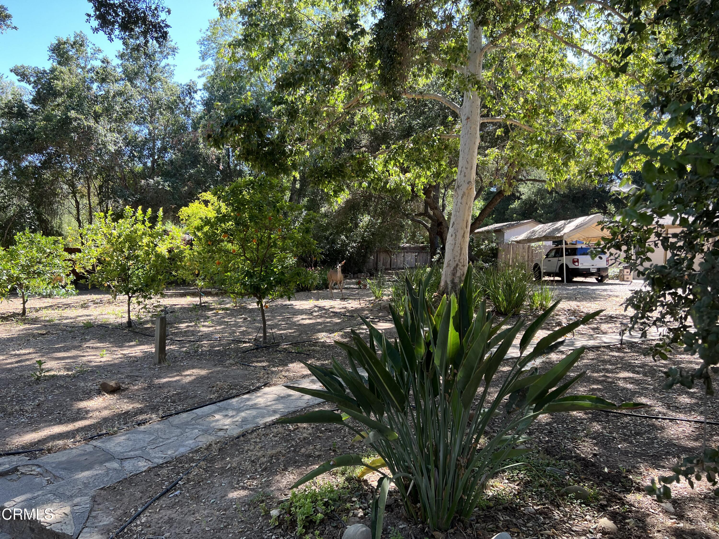 2131 Burnham Road Ojai, CA 93023 - Photo 37 of 39 IMG_1255