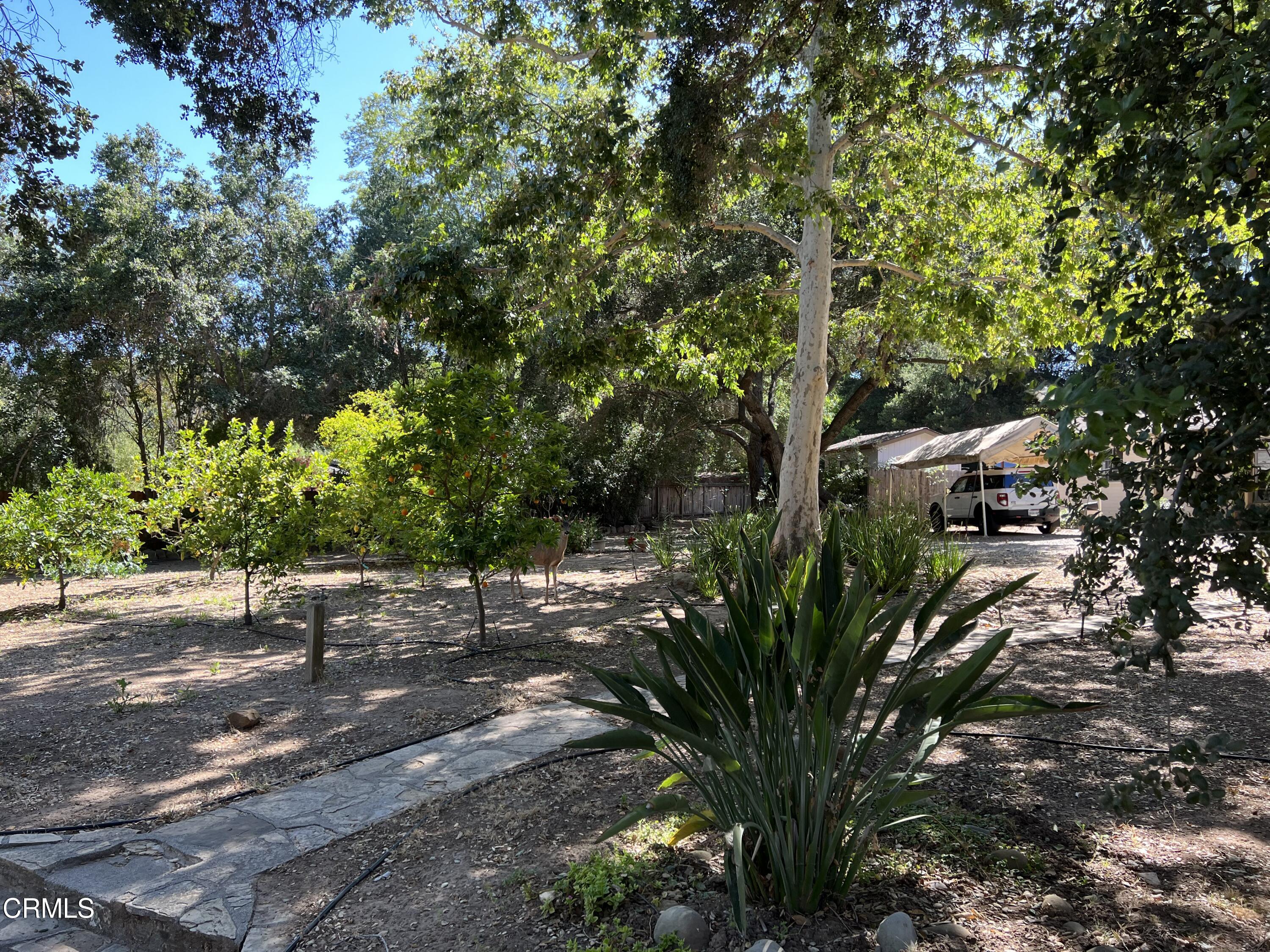 2131 Burnham Road Ojai, CA 93023 - Photo 39 of 39 IMG_1253