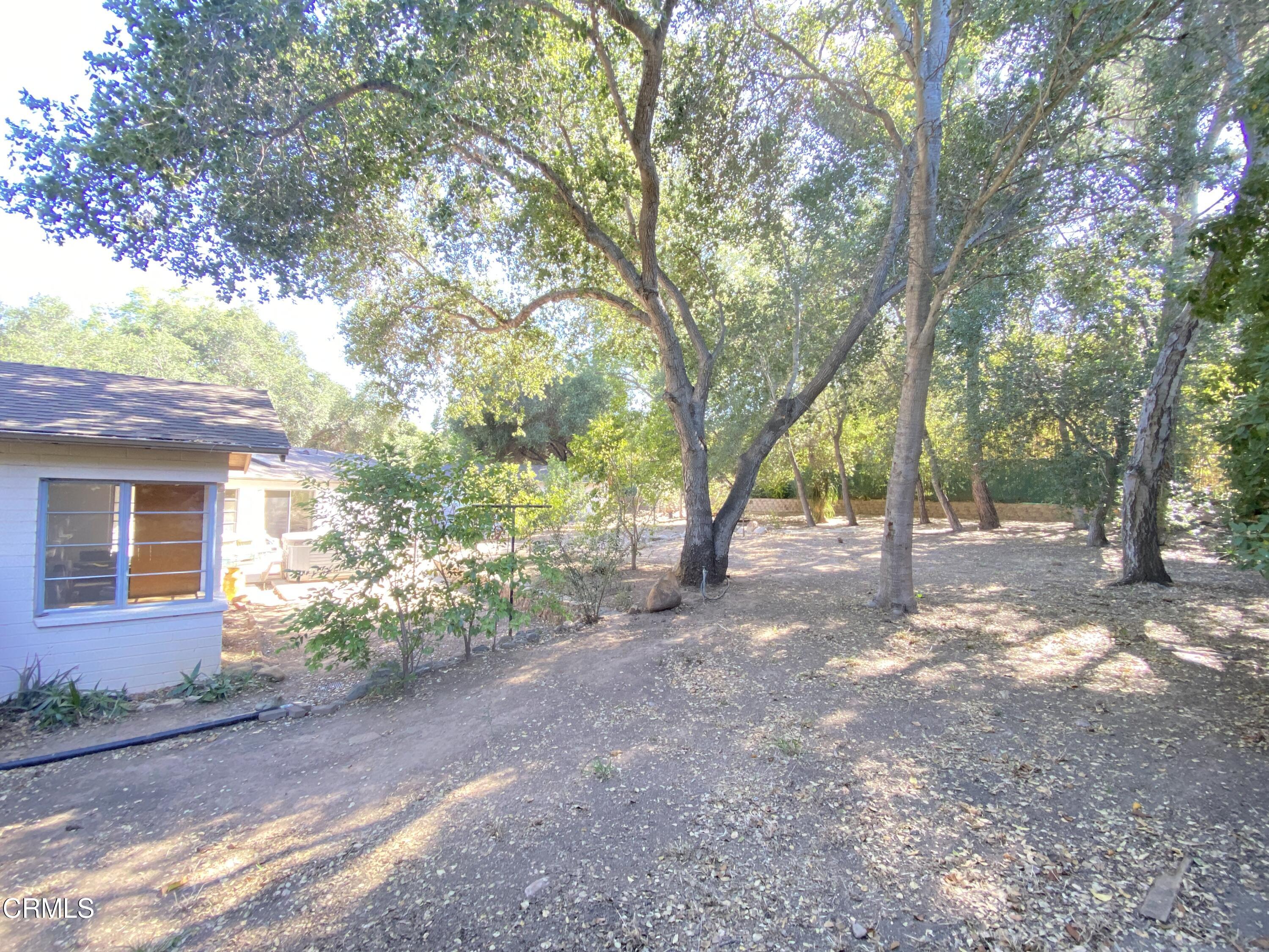 2131 Burnham Road Ojai, CA 93023 - Photo 6 of 39 2022-06-01 16.07.13