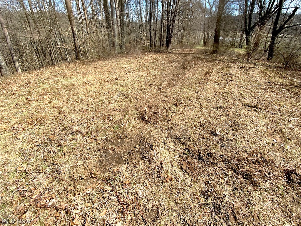 0 Township Road Coshocton, OH 43812 - Photo 17 of 24