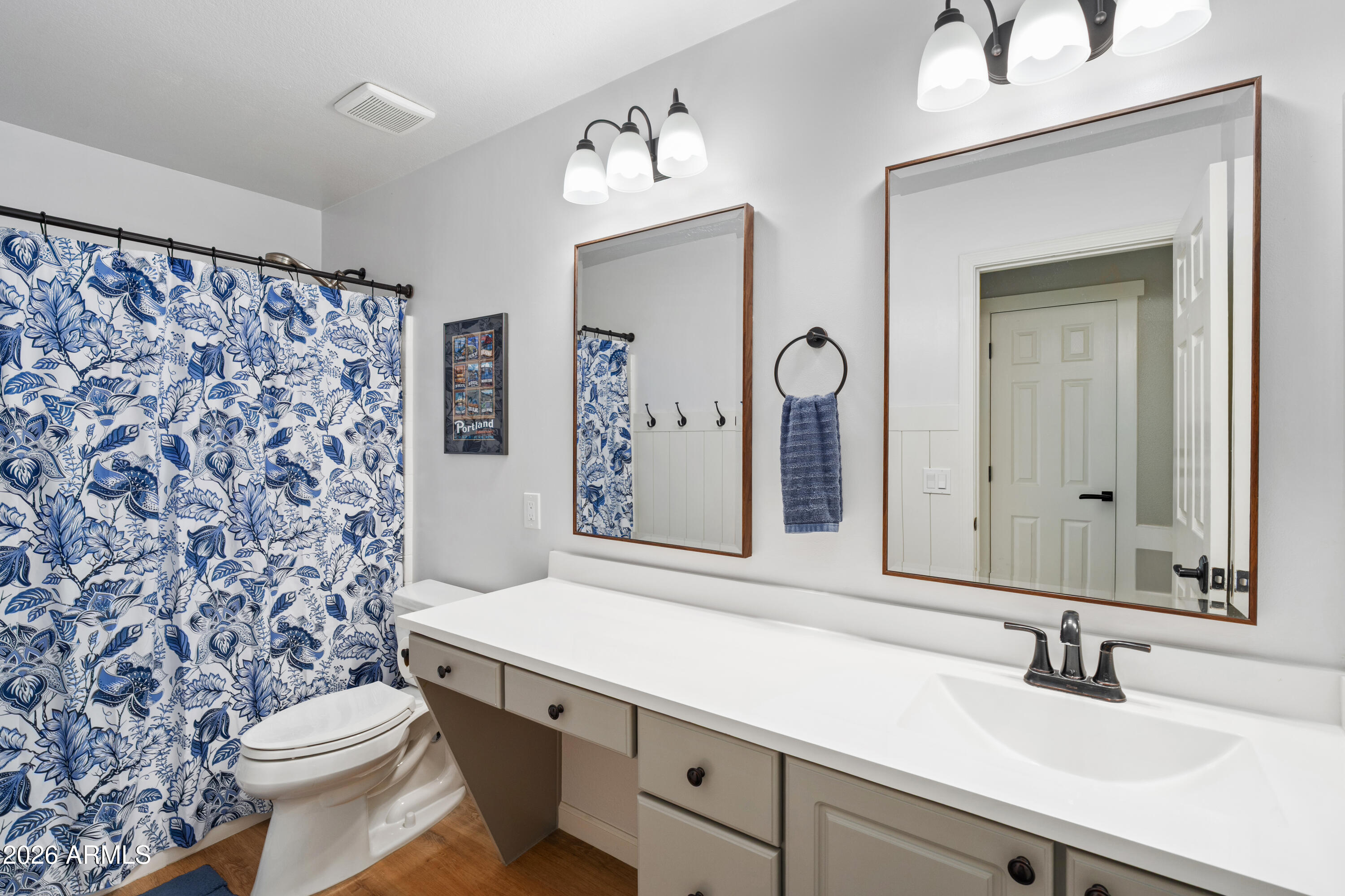 1071 East Ivanhoe Street Gilbert, AZ 85295 - Photo 15 of 41 Hall Bath