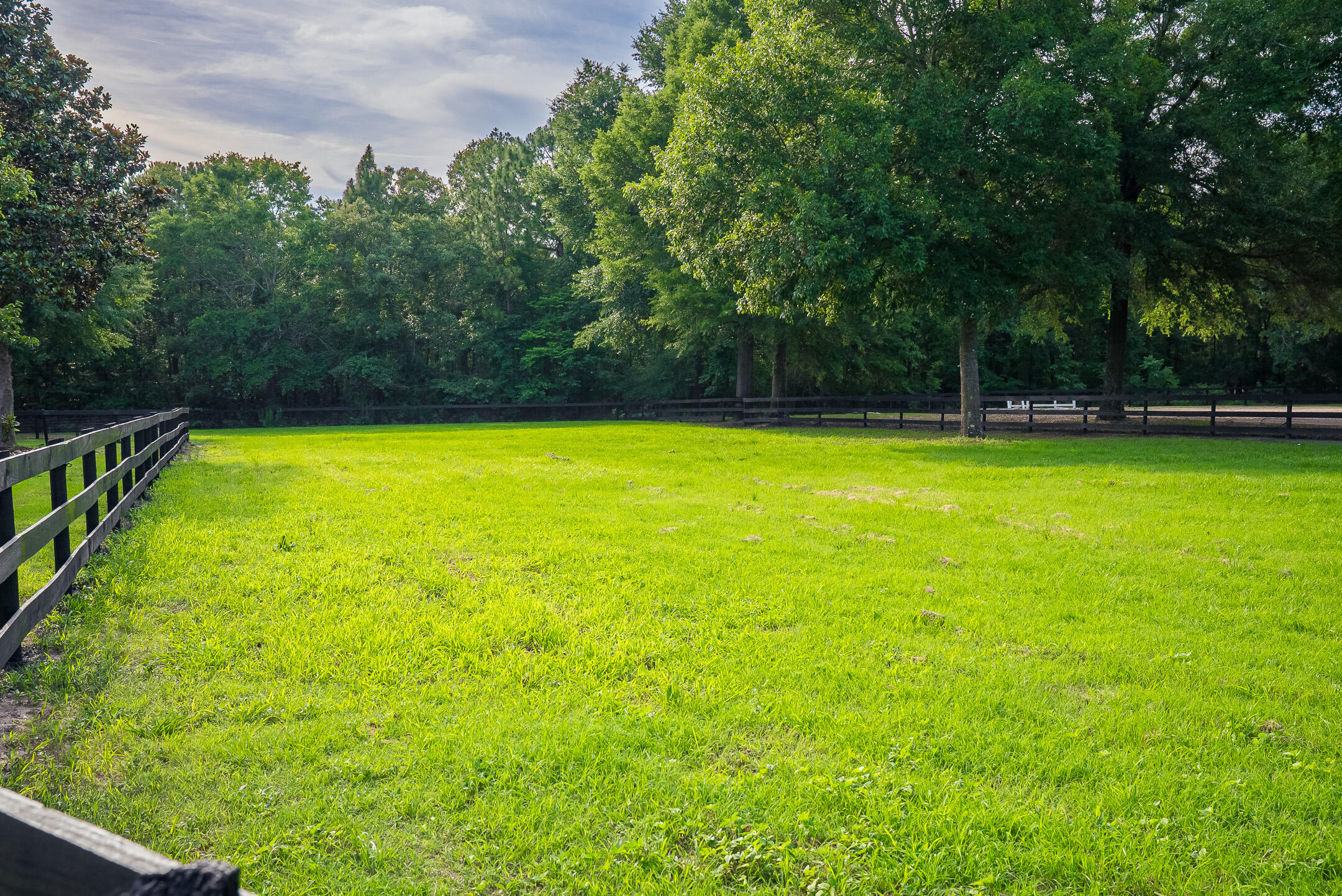 500 Burkelo Road Wagener, SC 29164 - Photo 61 of 80