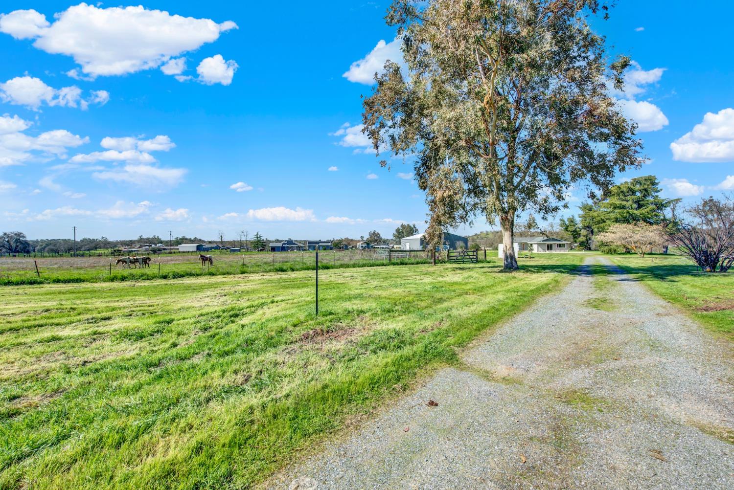 9862 Whalen Road Valley Springs, CA 95252 - Photo 3 of 57