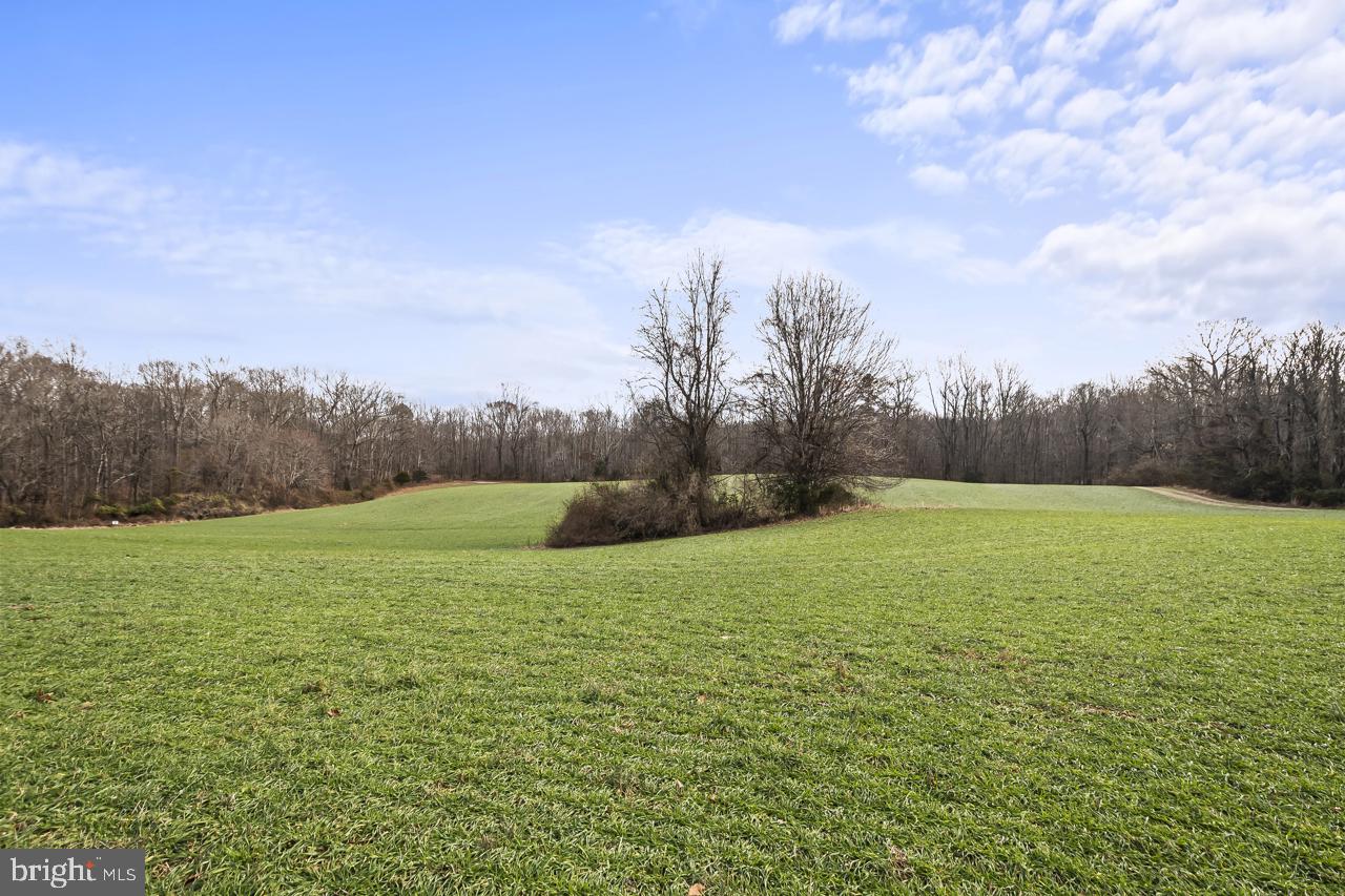 7389 Leeds Manor Road Marshall, VA 20115 - Photo 1 of 22