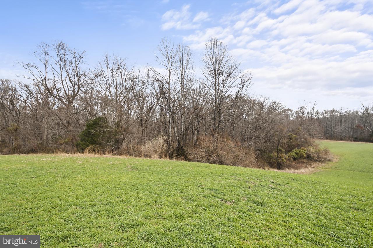 7389 Leeds Manor Road Marshall, VA 20115 - Photo 11 of 22