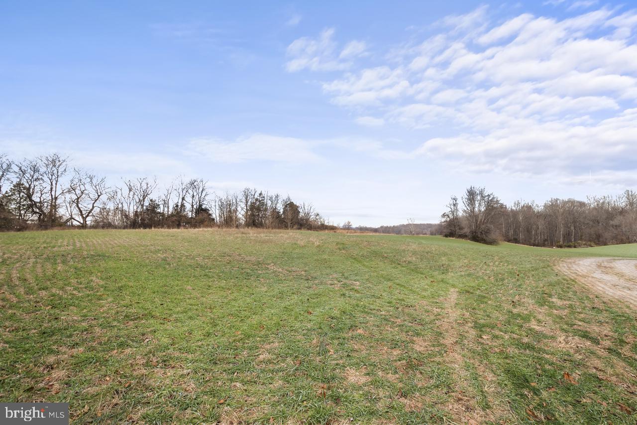 7389 Leeds Manor Road Marshall, VA 20115 - Photo 2 of 22