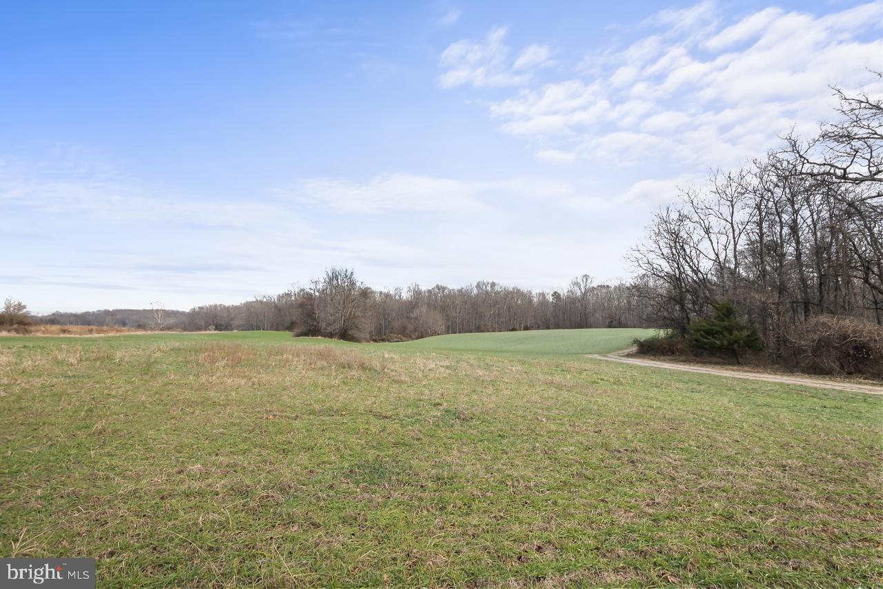 7389 Leeds Manor Road Marshall, VA 20115 - Photo 3 of 22