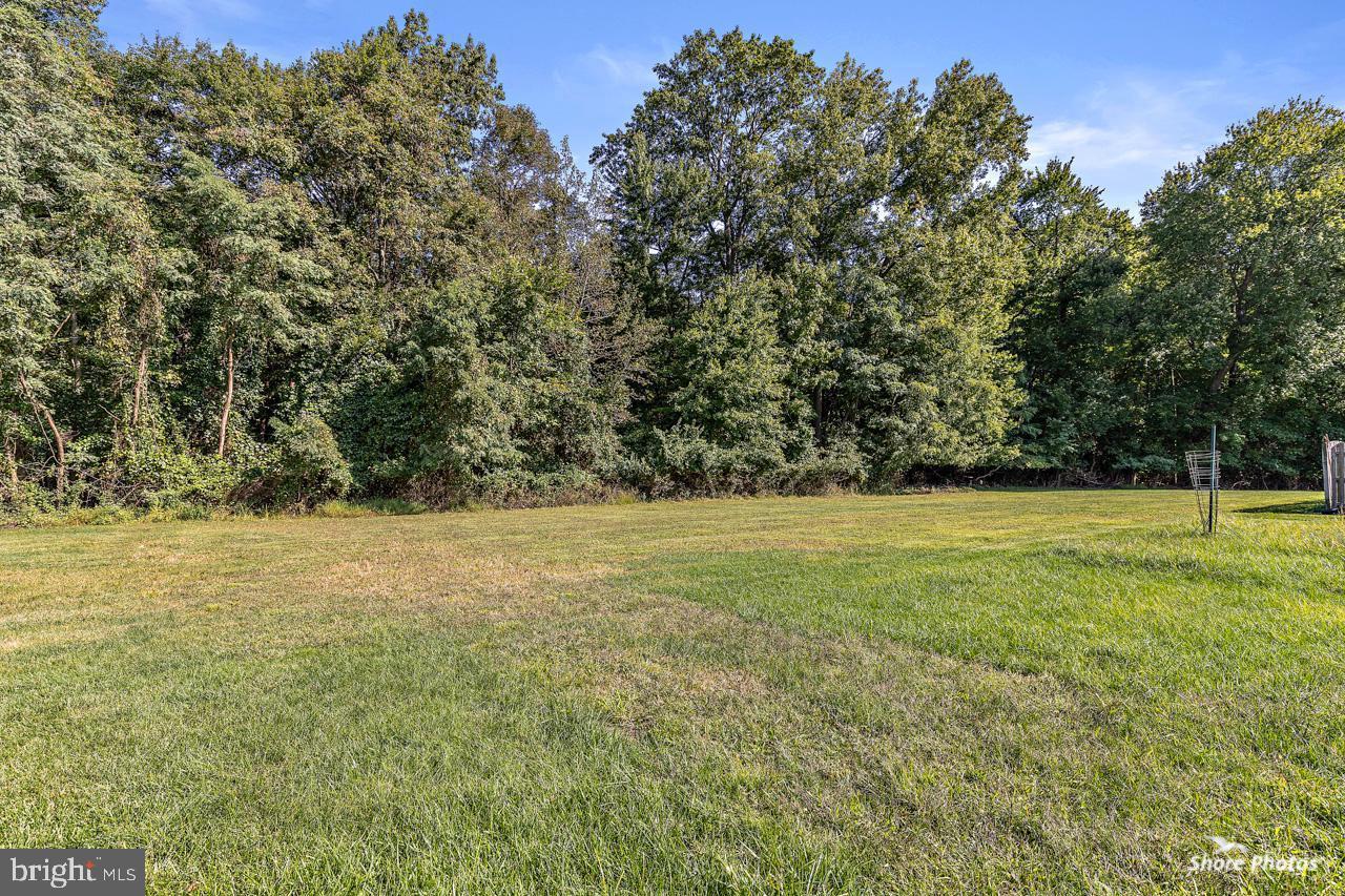 62 Stokes Road Mount Laurel, NJ 08054 - Photo 6 of 10 a view of yard with large trees