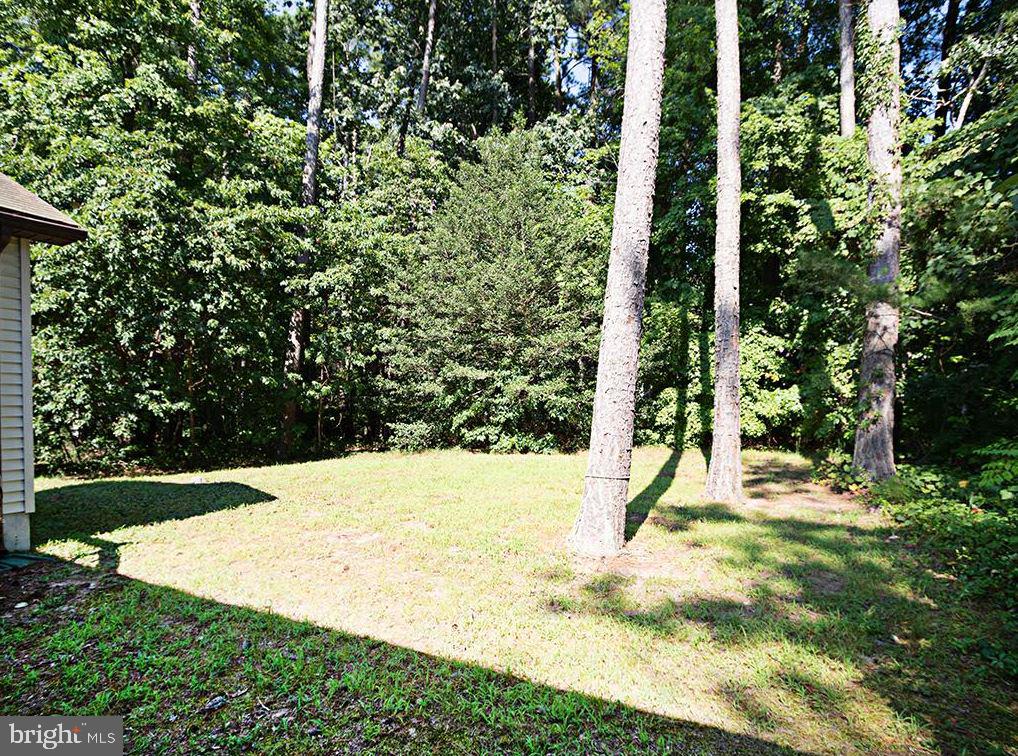 41 Falcon Bridge Road Ocean Pines, MD 21811 - Photo 11 of 45