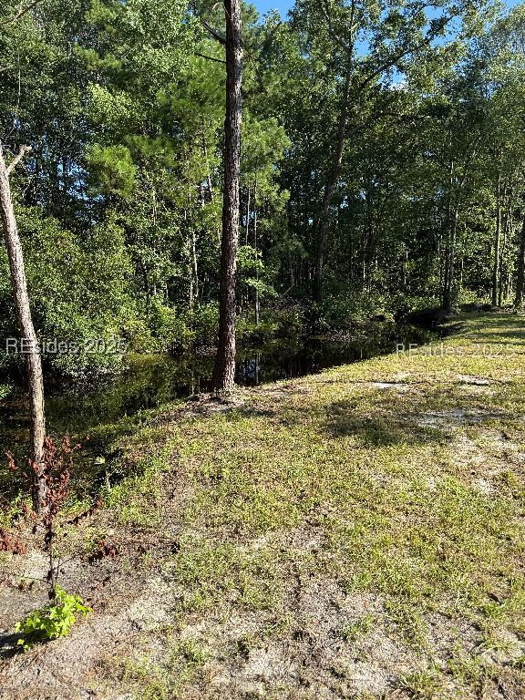 293 Meredith Road Ridgeland, SC 29936 - Photo 13 of 22