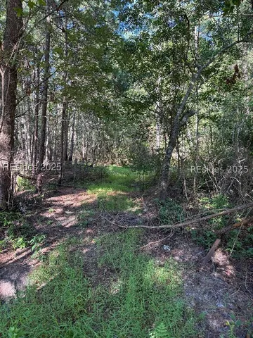 $150,000 | 293 Meredith Road, Ridgeland, SC 29936