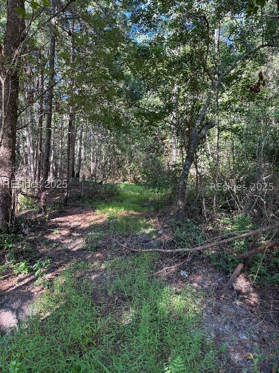 293 Meredith Road Ridgeland, SC 29936 - Photo 18 of 22