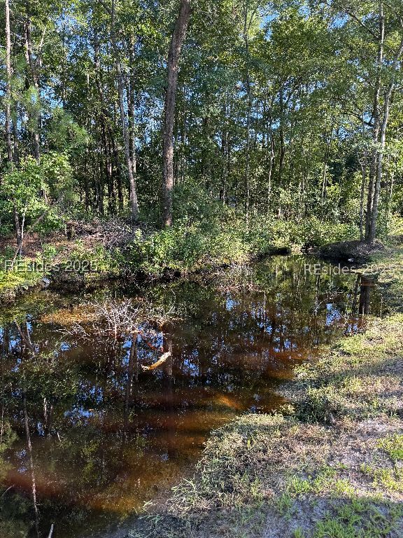 293 Meredith Road Ridgeland, SC 29936 - Photo 19 of 22