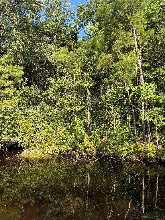 293 Meredith Road Ridgeland, SC 29936 - Photo 20 of 22