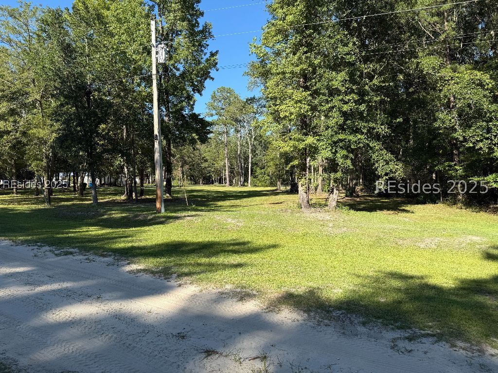 293 Meredith Road Ridgeland, SC 29936 - Photo 2 of 22