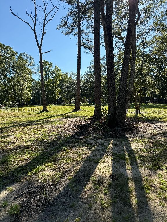 293 Meredith Road Ridgeland, SC 29936 - Photo 21 of 22