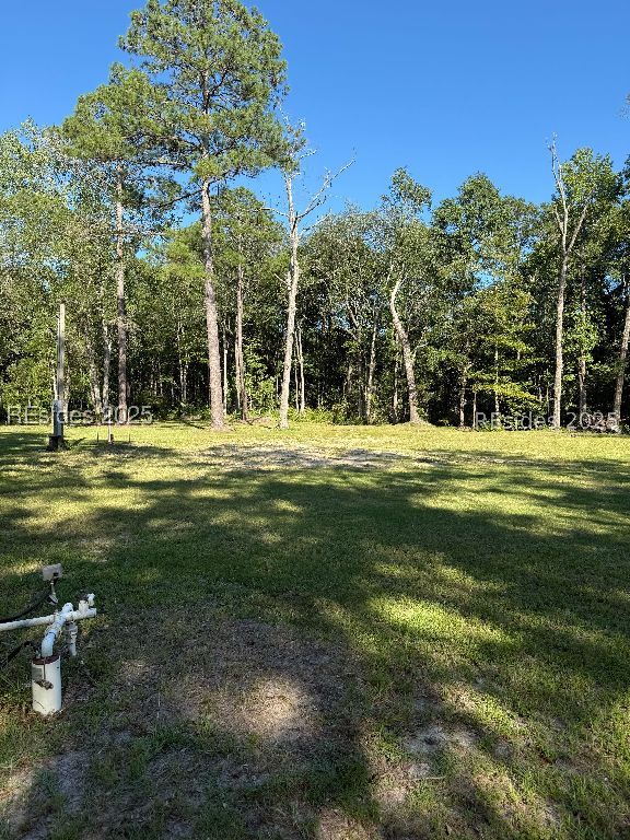 293 Meredith Road Ridgeland, SC 29936 - Photo 10 of 22