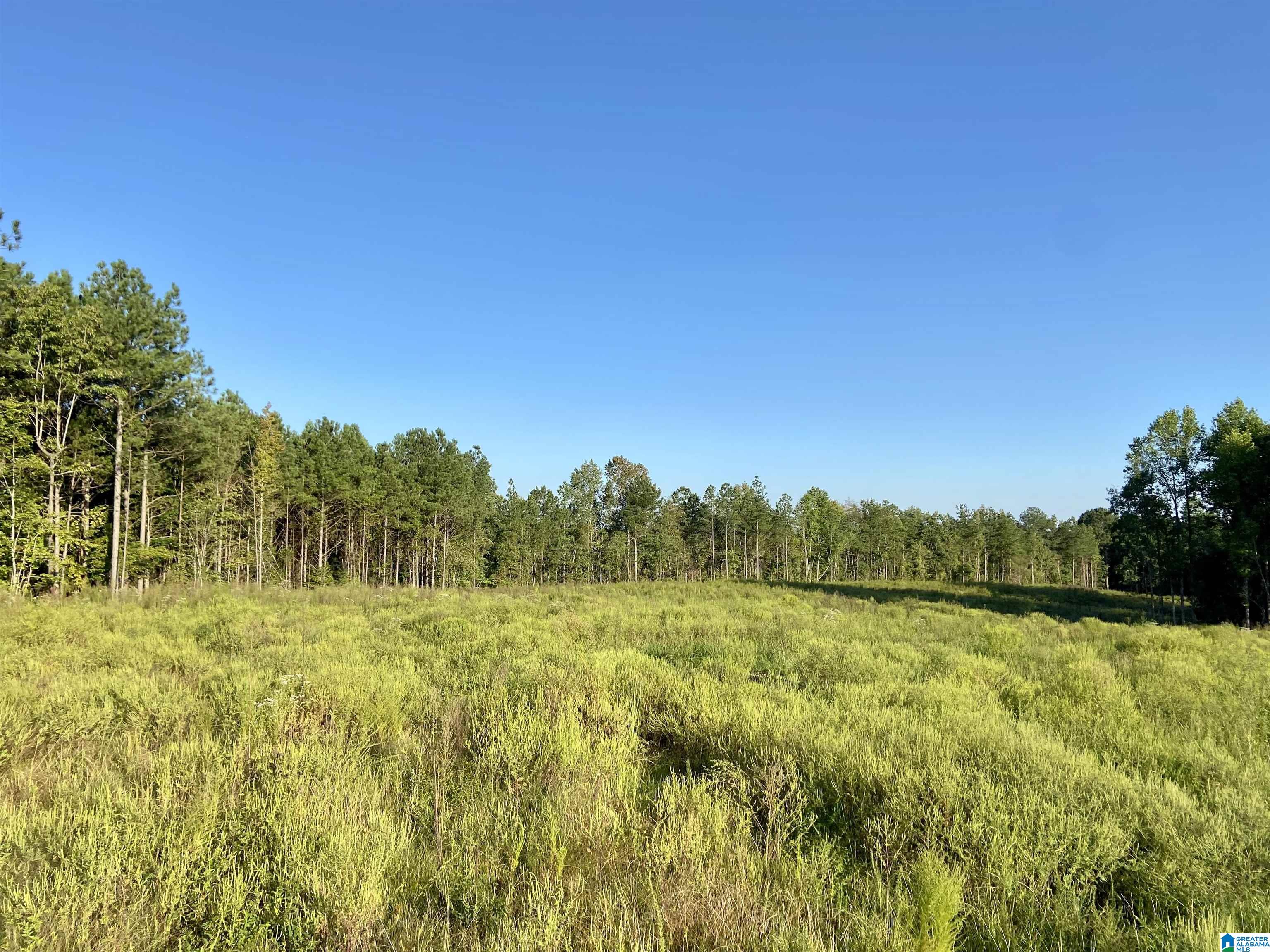 0 Frost Road, Unit 100 / ACRES Springville, AL 35146 - Photo 5 of 60